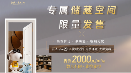 专属储藏空间 🈵限量发售  约4-20㎡ 灵动空间🔥分秒递减