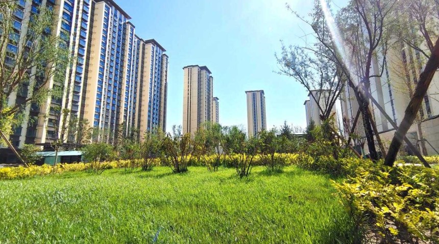 植绿睦邻绘春景 共建绿色幸福家​ ​&mdash;&mdash; 嘉盛海上名苑业主认养季&middot;小树伴家兴活动温情启幕​